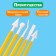 Setopedic massage set "probes", collapsible, 8 pcs