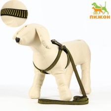 Acunition set is relief, leash 120 x 1.5 cm, OG 36-49 cm, yellow-black