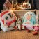 Decorative Ethele "Reflair" 30*30 cm pillow