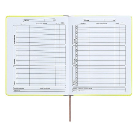 The universal diary for grades 1-11 is an excellent student, a solid cover made of artificial leather, silkography, lies, 48 ​​sheets, light green-6