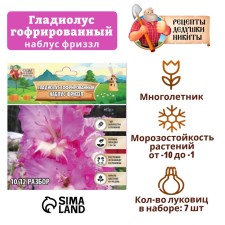 Гладиолус гофрированный "Наблус Фриззл", р-р 8/10, 7 шт,
