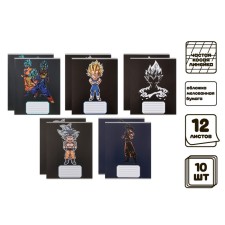 A set of notebooks of 10 pieces, 12 sheets in a frequent slant of Calligrata Super M, cover coated paper, VD-LOK, OFSET BOCT, 5 types of 2 pieces