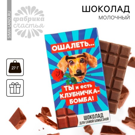 Milk chocolate "For the Bogibuznaya", 27 g.