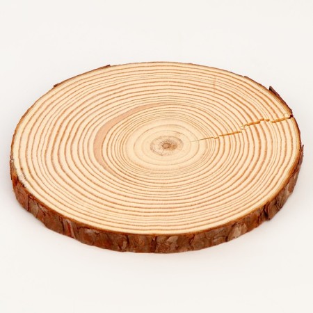 Wooden decor "Sawdal of a tree" Size: from 13 to14 cm-2