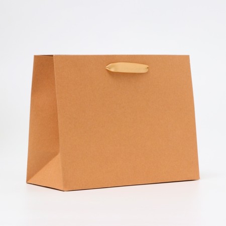 Laminated packet "Kraft", MS 23 × 18 × 10 cm