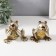 Souvenir Polystone "Surprised Frog" Light gold mix 10.3x6.3x8 cm