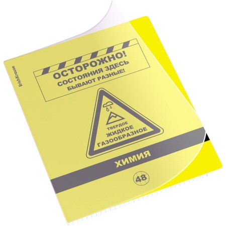 Subject notebook, 48 sheets, cage, chemistry, Erichkrause "BENFORMED", plastic cover silk-screen cover, OFSET BELICE 100%, info block