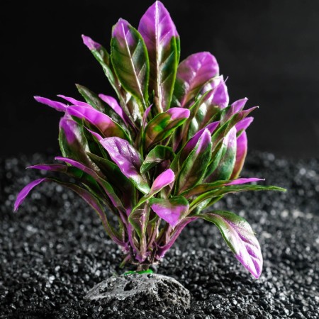 Artificial Aquarium plant, 15 x 15 x 12 cm