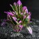 Artificial Aquarium plant, 15 x 15 x 12 cm