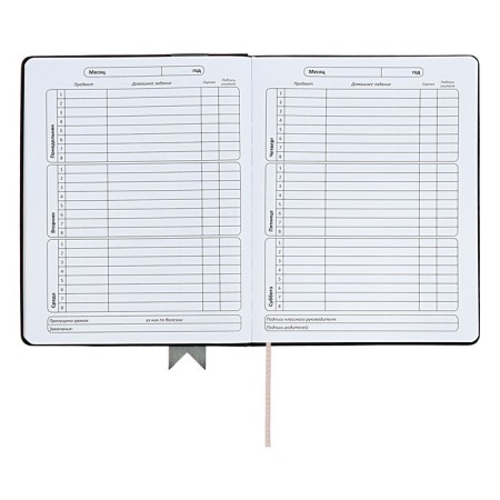 Universal diary for grades 1-11 Lenta, solid cover of artificial leather, applique, silkography, liesse, 48 sheets, black-6