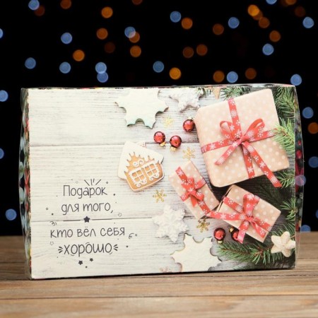 Box for cookies "Dried Gifts", 22 x 15 x 3 cm-1
