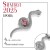 Pink in silver