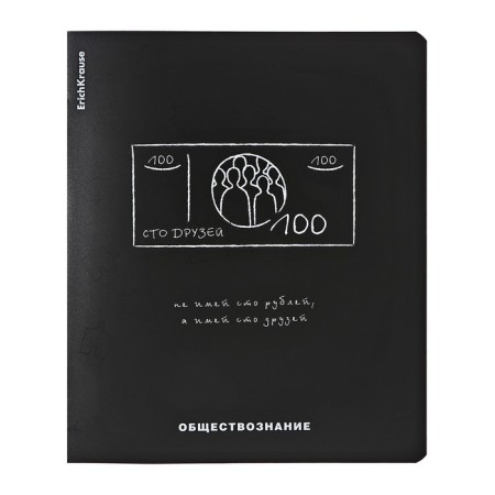 A set of subject notebooks 48 sheets, 12 pieces, Erichkrause "Ves in the root", plastic cover silk-screen covers, Blok Offset 100%, information block-4