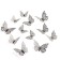 Set for decorating "Butterflies", 12 pieces, black color