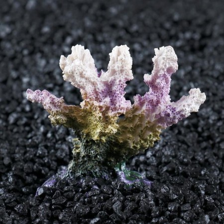 Decorative Coral "Sinulary", 7 x 4 x 7 cm-1