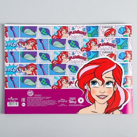 Album for drawing A4, 40 sheets 100 g/m², on paper, princesses-2