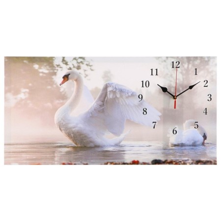 Carty clock is wall-mounted, on canvas, interior, silent "white swan", 40 x 76 cm