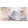 Carty clock is wall-mounted, on canvas, interior, silent "white swan", 40 x 76 cm