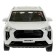 Metallic Metallic Haval Jolion, doors, trunk, inertia, 12 cm, white are opened