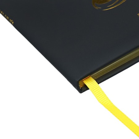 Diary 1-11 Grade "Kisul Vasily", artificial leather, foam, foil embossing, 48 sheets-2