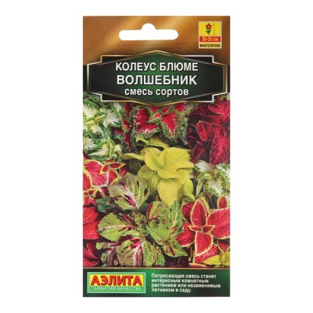 Seeds Koleus "Wizard", a mixture of varieties