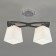 Ceiling lamp 2x60W E27, size 43x17.5x28 cm