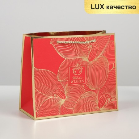 Gift Package Laminated, packaging, “With Best Wishes”, 27 x 23 x 12 cm-1