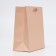 Laminated packet "Dust Rose", MS 18 × 23 × 10 cm