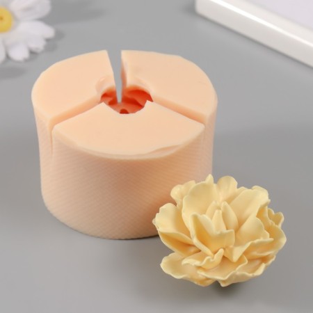 Silicone Mold "Pion Madagascar" d = 6 cm, height 4.5 cm mix-1