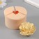 Silicone Mold "Pion Madagascar" d = 6 cm, height 4.5 cm mix