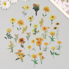 Plastic stickers 