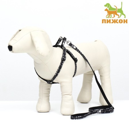 The ammunition set is two-layer, size S, leash 120 x 1 cm, ok 24-38 cm, og 29-41 cm, stars 9683
