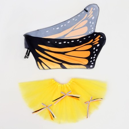 Carnival set "Butterfly", 5-7 years: skirt, wings-1