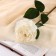 Artificial flowers "Rose Aesthetics" 10x49 cm, white