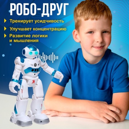 Robo-Dihrug robot, with remote and sensory control, Russian chip, blue color-2