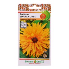 Rudbeki flowers 