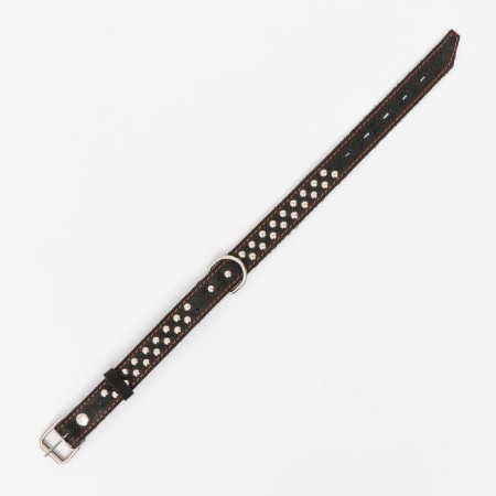 The collar is a single-layer leather, the rimmer, 60 x 3 cm, Osh 45-57 cm, black-2