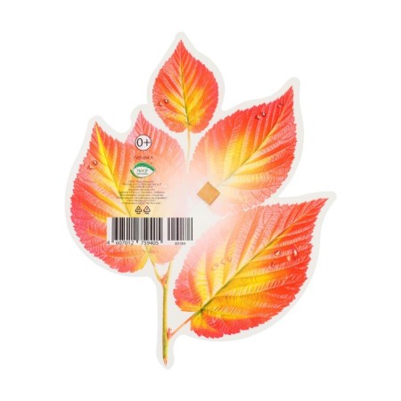 Decoration on the adhesive tape "Autumn leaves" red, yellow, 18x18 cm-1