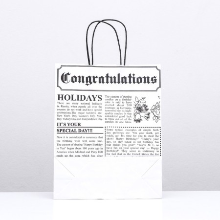 Crafts "newspaper" white 25 x 10 x 32 cm-1