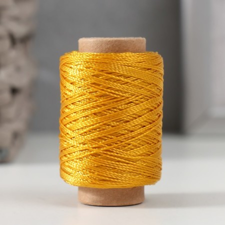 Polyamide twisted 93.5*1*2 / 100m (gold)