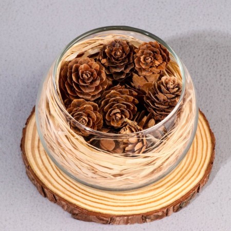 Aromatic set: VAZA-SASHE with cones, aromatic oil "Red Pomelo", 10 ml-1