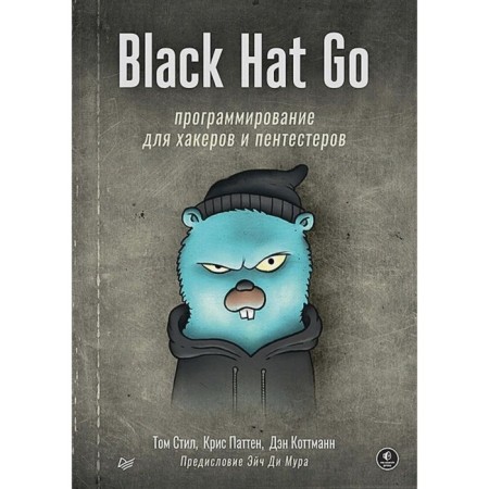 Black Hat GO. Programming for hackers and pentesters. Style T., Patten K., Kottmann D.