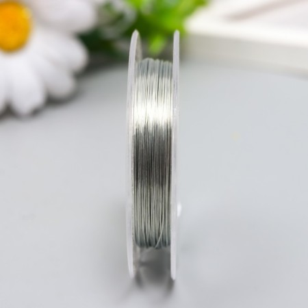 Wire for beads d 0.3 mm, silver steering. 10 m-1
