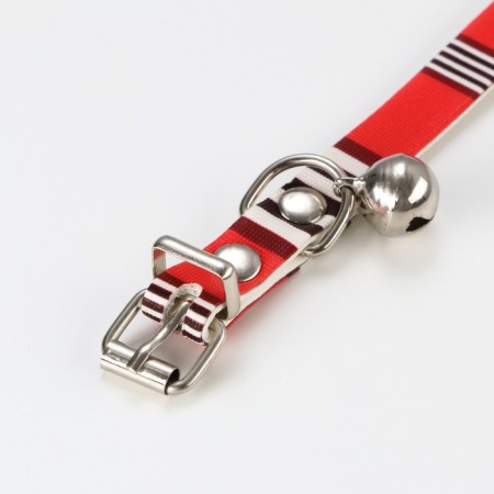 Collar "brand", 31 x 1 cm, Osh 21-28, artificial leather-4