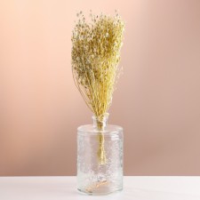 Set of dried flowers 