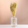 Set of dried flowers "Monetnik", banch length 60 (+/- 6 cm), bleached
