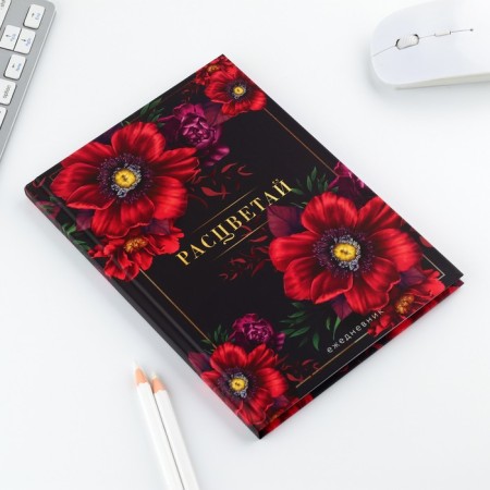 Set "Blave": pen and diary 80 sheets-3