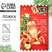 New Year's spoon with a molding pen “Your Personal Parcel from Santa Claus”, for the New Year, stainless steel, 14.5 cm