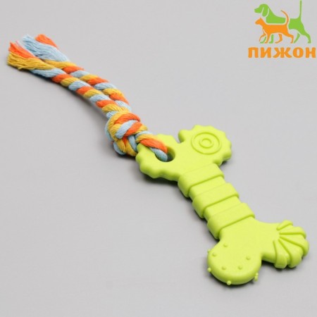 Chewing toy with a rope "bone with a tail", green