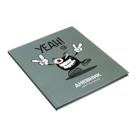 Universal Diary 5-11 classes, 48 ​​sheets "there is", matte lamination, a solid cover, a UV-lace, block 65 g/m2-1